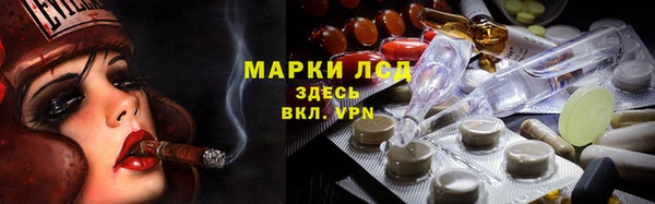стаф Алексин