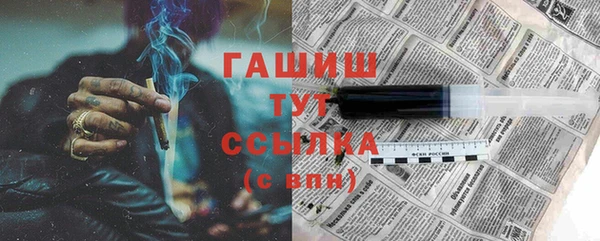 стаф Алексин