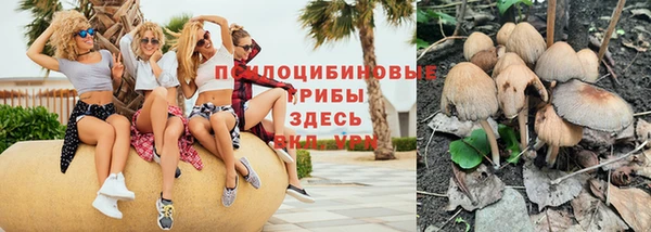 стаф Алексин