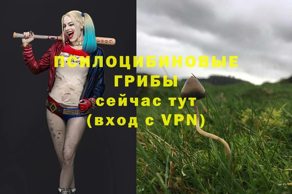 круглые Алзамай