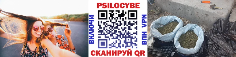 Галлюциногенные грибы мицелий  Купить где  Кострома 